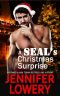 [SEAL Team Alpha 0.50] • A SEAL's Christmas Surprise · Novella